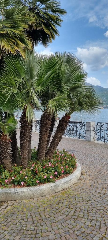 Chalet te huur Luganomeer Italië - Seizoen 2026, 2 slaapkamers, Lombardije en Merengebied, Recreatiepark, Aan meer of rivier