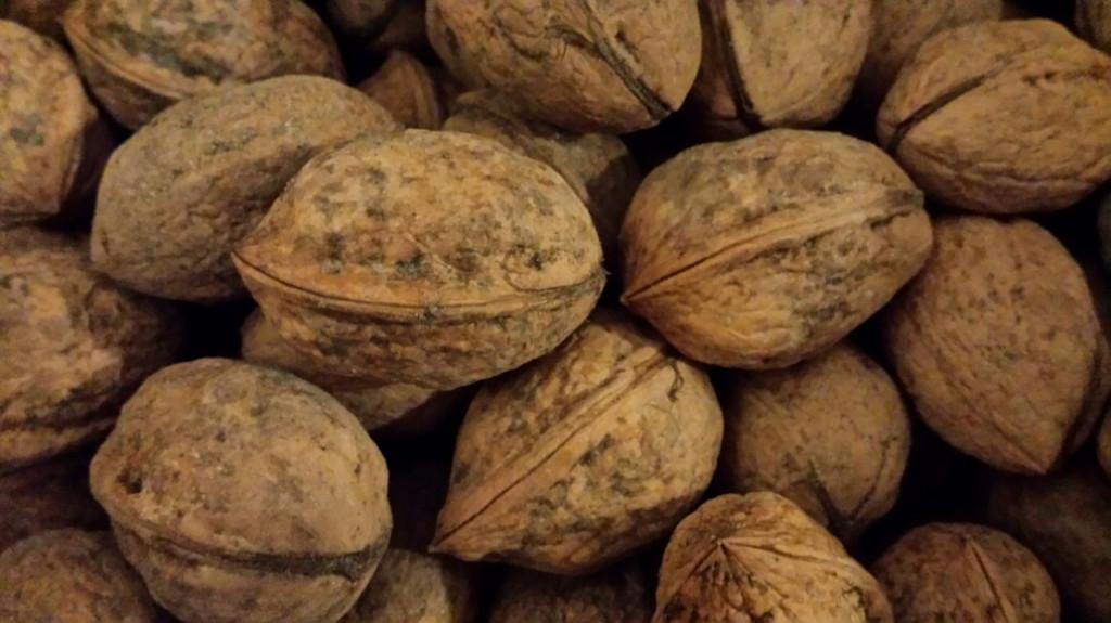 ALLERLAATSTE KILO'S walnoten biologisch 6 kilo beschikbaar, Ophalen, Nieuw