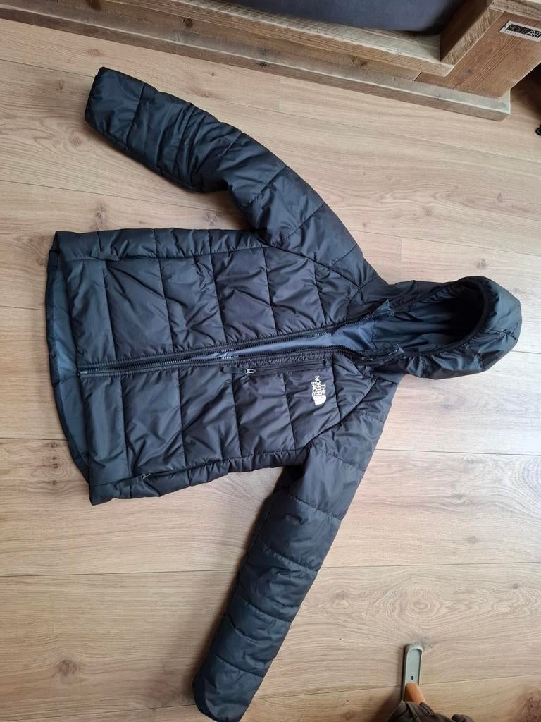 The North Face jas meisje maat L/12, Kinderen en Baby's, Kinderkleding | Maat 152, Ophalen of Verzenden, Gebruikt, Meisje, Jas