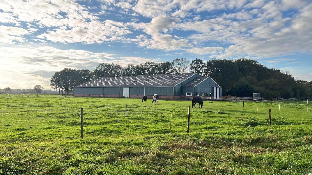 Te huur, rijhal met paardenboxen, Weidegang, 4 paarden of pony's of meer