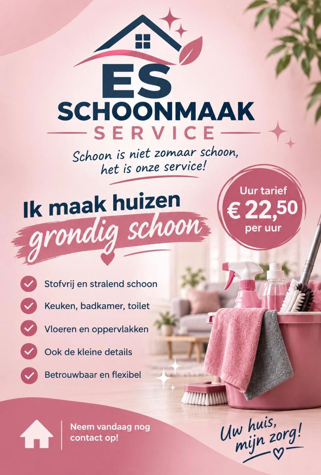 Grondige betrouwbare schoonmaakster, Schoonmaken woning