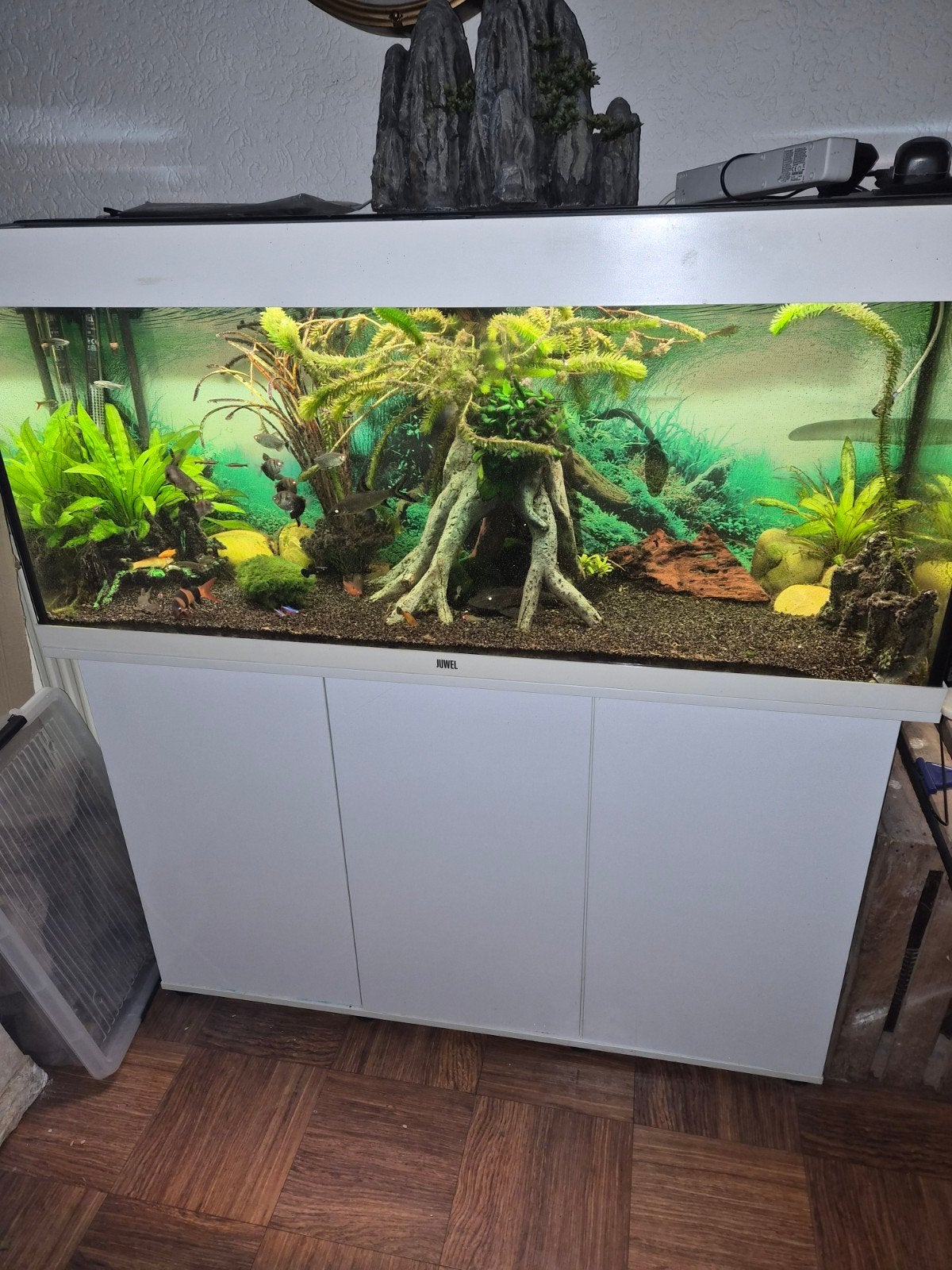 jewel aquarium, Ophalen, Pomp, Juwel, Gevuld zoetwateraquarium