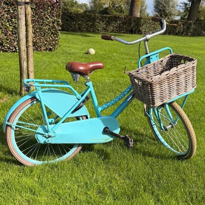 22 inch meisjesfiets Popal Daily Dutch turquoise, Ophalen, Gebruikt, Terugtraprem, 22 inch