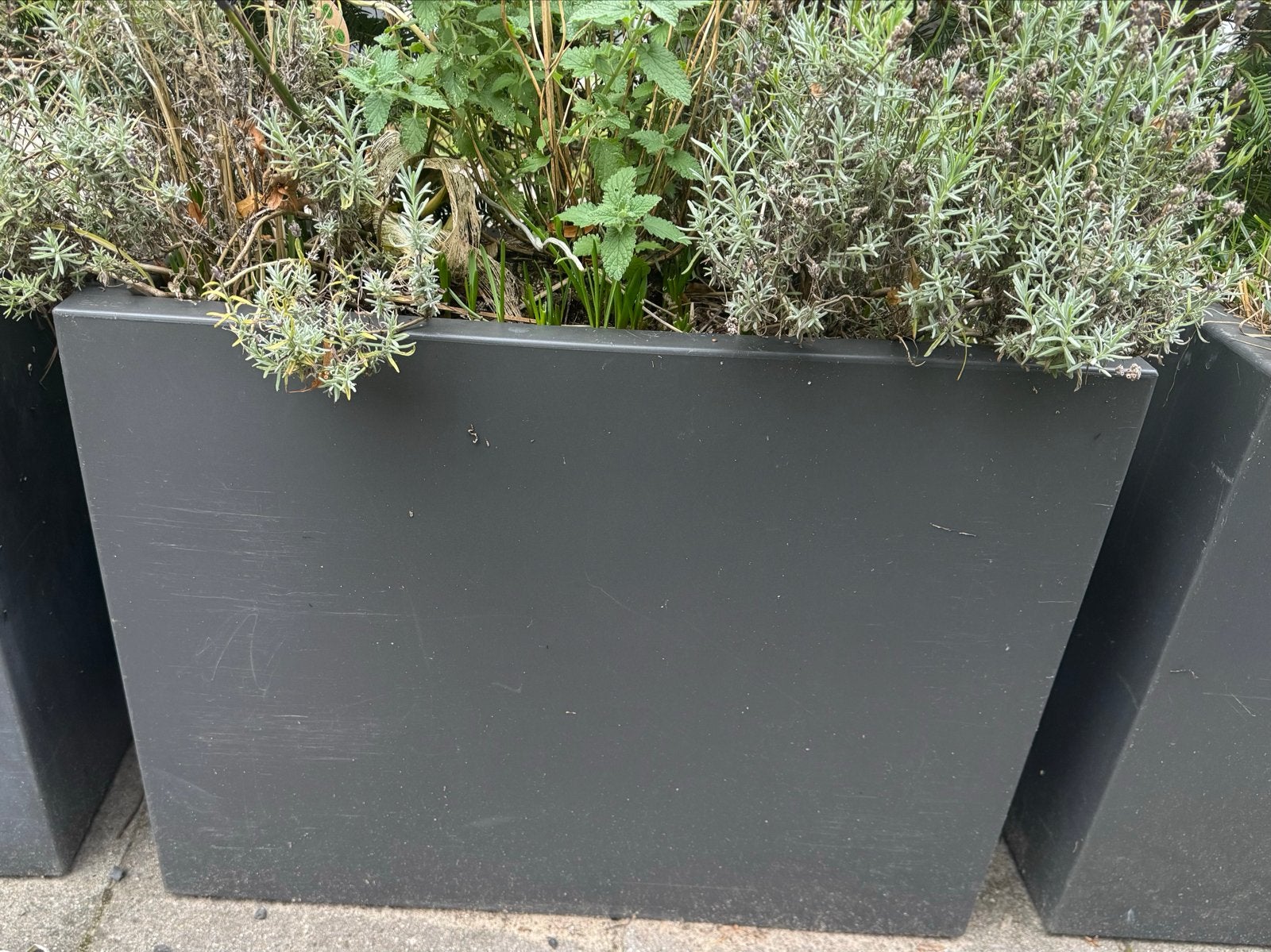 Twee Elho Pure Soft Brick Divider bloembak 80 cm - Antraciet, Ophalen, Kunststof, Gebruikt, 60 tot 100 cm
