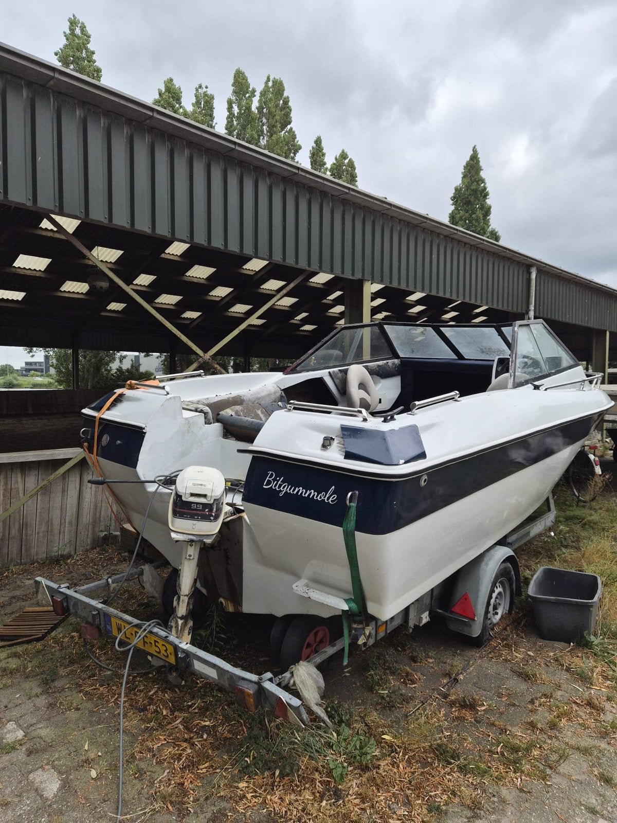 Johnson Speedboot met trailer - Opknapper, Overige merken, Gebruikt, Toilet, Buitenboordmotor