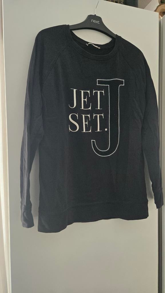 Sweater, Ophalen of Verzenden, Zo goed als nieuw, Maat 38/40 (M)