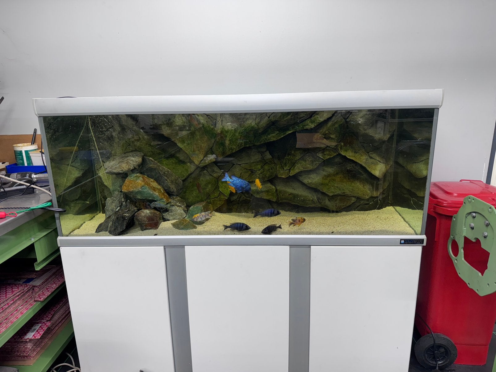 Aquarium 160cm met malawi chicliden, Info@fluval.com in, Gebruikt, A, Eheim