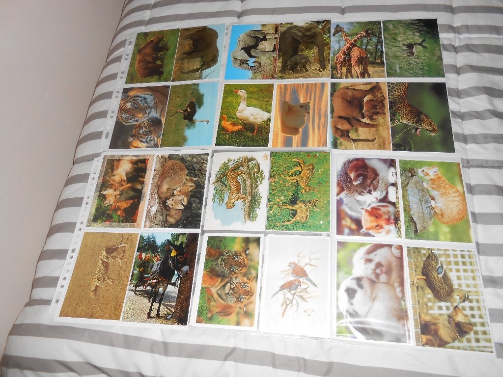 Onbeschreven kaarten dieren., Ophalen, 1980 tot heden, Wild dier