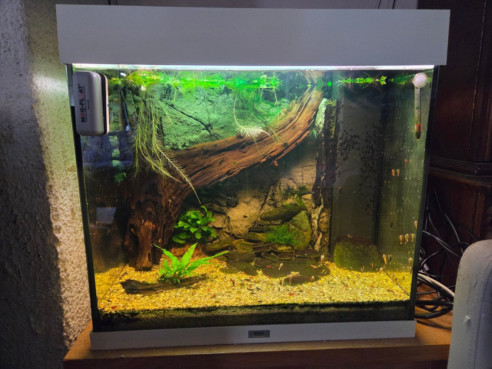 Juwel lido 120 aquarium compleet, Ophalen, Gebruikt, Gevuld zoetwateraquarium, Juwel