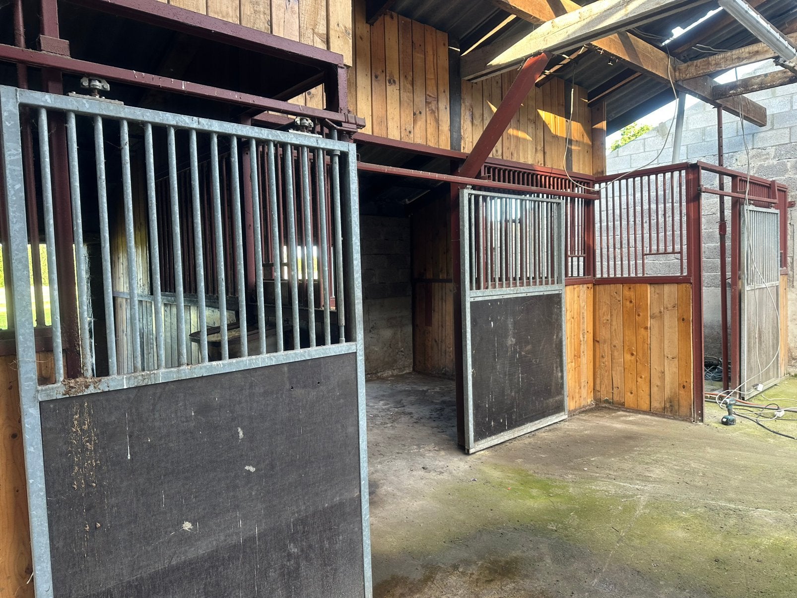 Paarden boxen