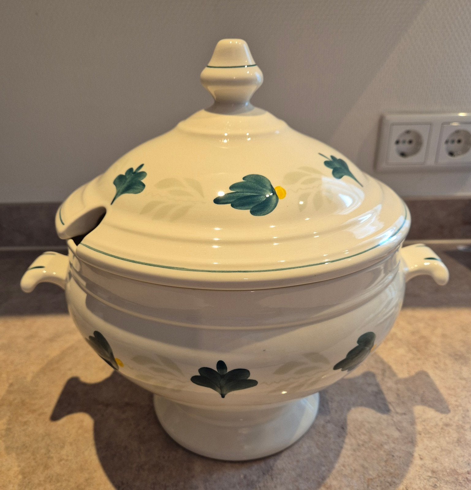 soepterrine  groen boerenbont aquarelle royal boch, Landelijk/Boerenbont, Ophalen of Verzenden, Royal Boch, Aardewerk