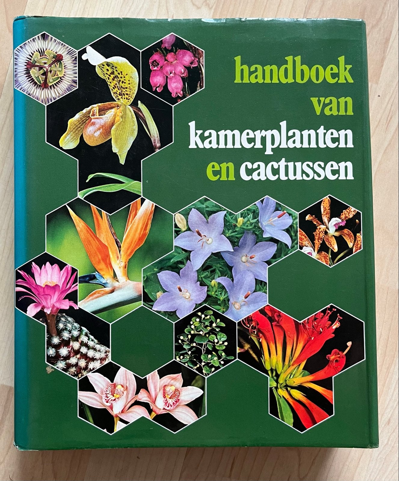 Handboek kamerplanten en cactussen, Boeken, Ophalen of Verzenden, Gelezen, Bloemen, Planten en Bomen