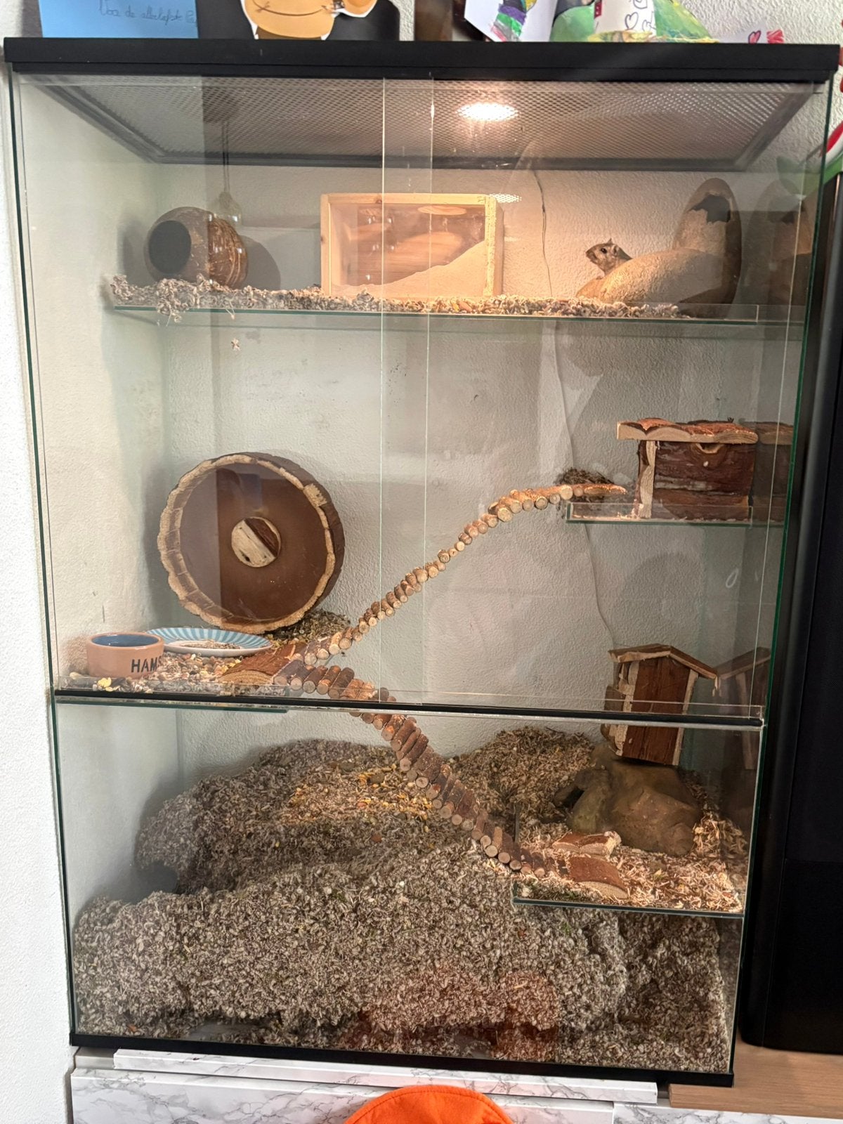 Groot queenies gerbilarium incl 2 gerbils, Dieren en Toebehoren, Knaagdieren en Konijnen | Hokken en Kooien, 110 cm of meer, Zo goed als nieuw