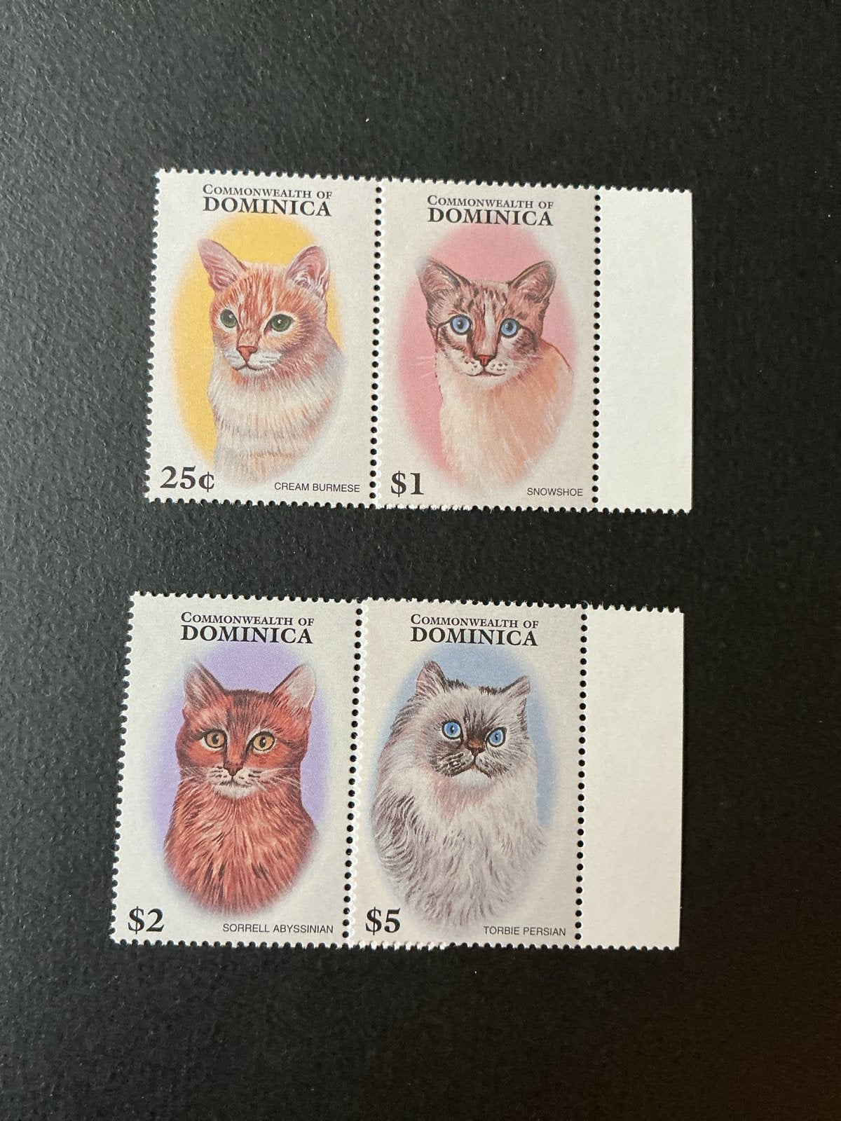 Katzen Cts Dominica - Kattenrassen (4 stuks), Verzenden, Postfris