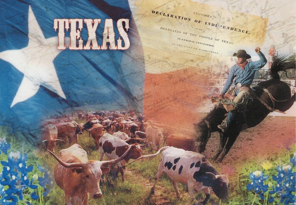 Texas Persoon op een paard drijft de koeien op 115, Verzenden, 1980 tot heden, Gelopen, Paard