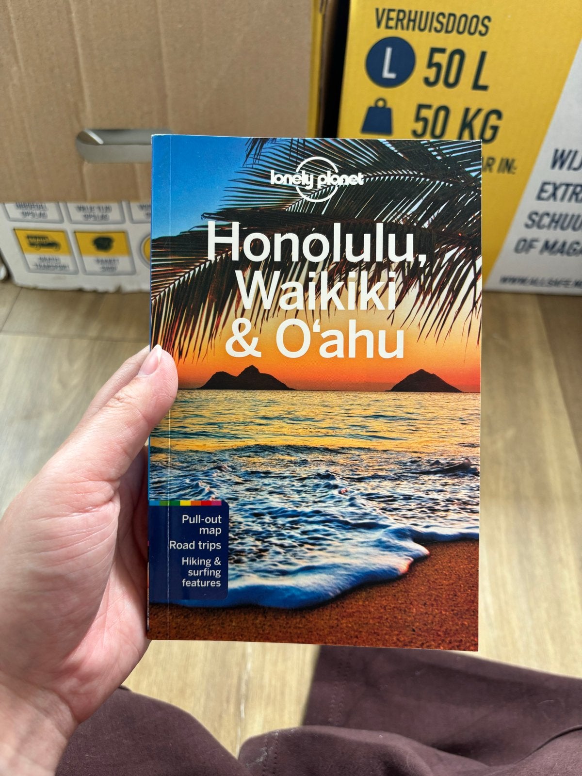 Lonely Planet Honolulu, Waikiki & O'ahu Reisgids, Lonely Planet, Nieuw, Ophalen of Verzenden, Reisgids of -boek