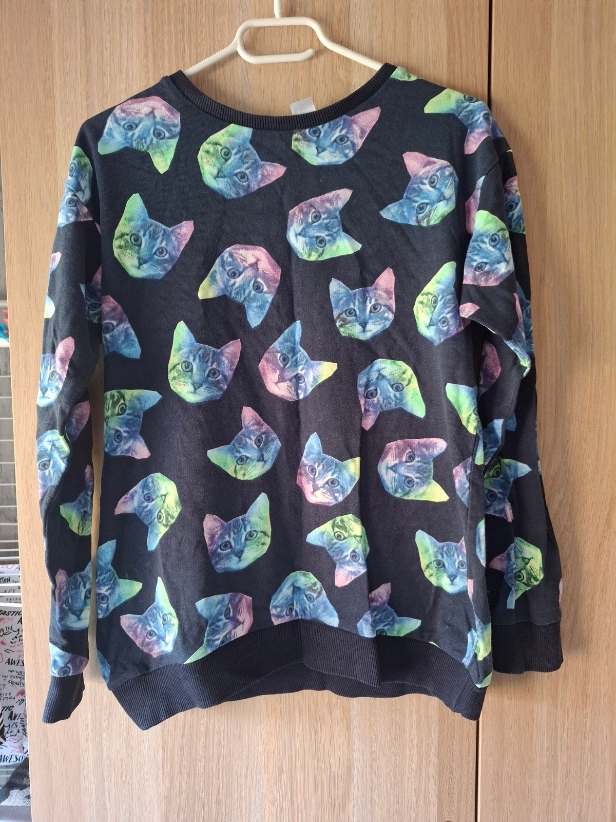 leuke poezen trui maat XS, Kleding | Dames, Ophalen of Verzenden, Zo goed als nieuw, Maat 34 (XS) of kleiner, Blauw