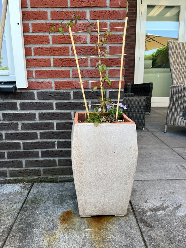 2 x terracotta geglazuurde buitenpotten met planten, Tuin en Terras, Bloembakken en Plantenbakken, Ophalen, Steen, Gebruikt, Minder dan 60 cm