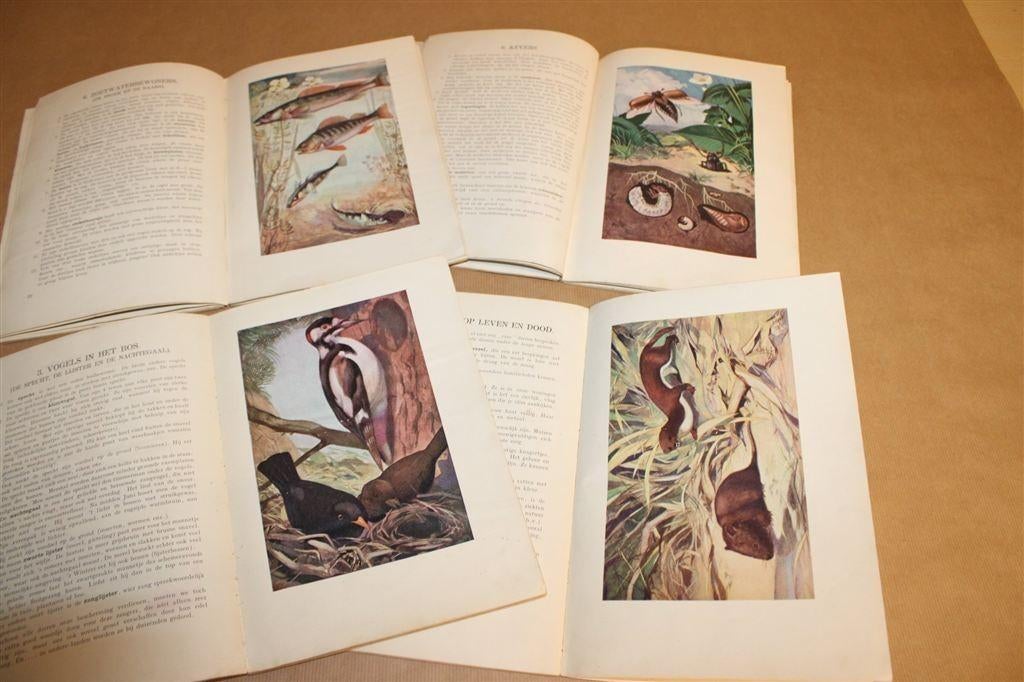 Dierkunde in Woord en Beeld — 4 Delen — 1934, Ophalen of Verzenden, Gelezen