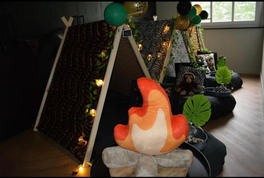 Tentjes slaapfeestje, Ophalen, Zo goed als nieuw, Verjaardag