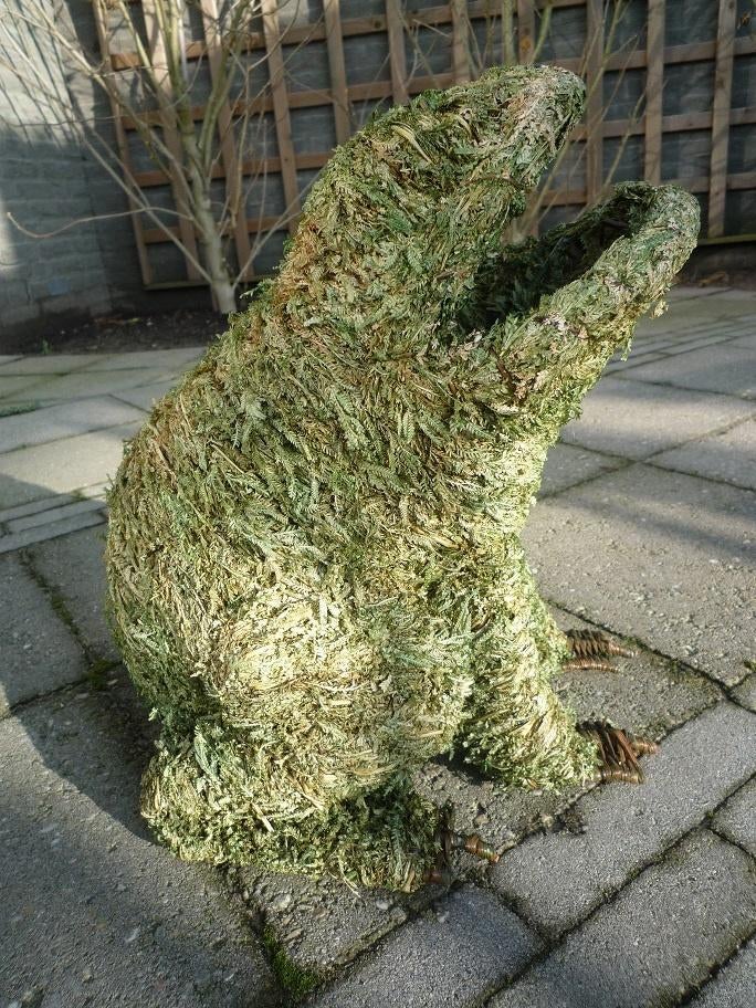 Decoratie Kikker, Ophalen of Verzenden, Zo goed als nieuw