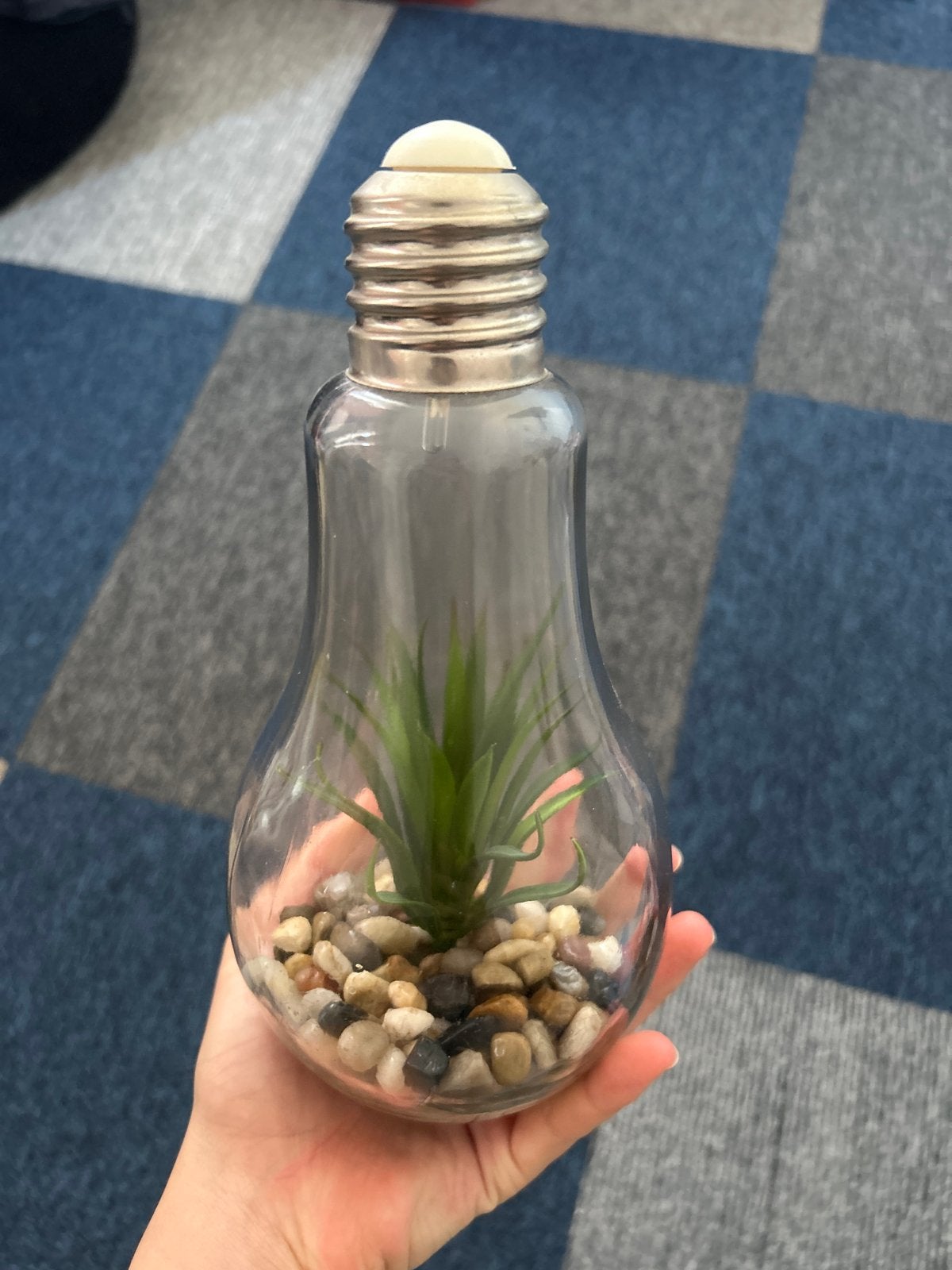 Decoratieve gloeilamp met plantje en lichtje, Ophalen, Meerkleurig, Zo goed als nieuw, Modern