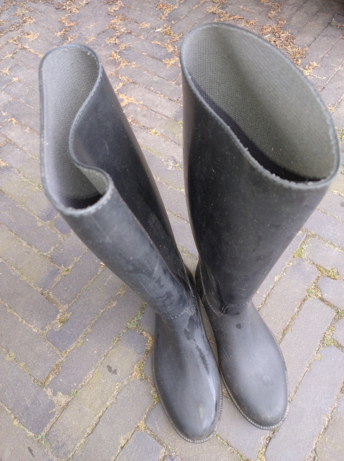 Paardrijlaarzen Decathlon mt 36, Ophalen, Gebruikt, Dressuur, Schoeisel