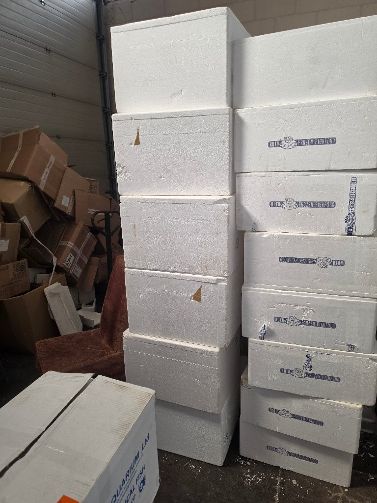 ruim 500 gebruikte lege piepschuim boxen, Overige typen, Zoetwatervis