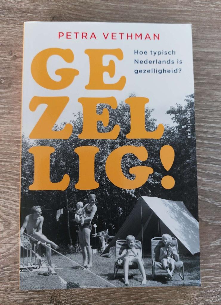 Petra Vethman - Gezellig!, Ophalen of Verzenden, Zo goed als nieuw