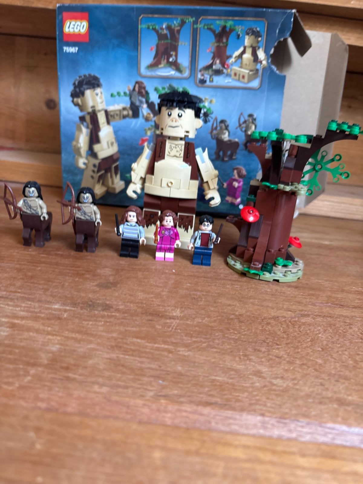LEGO Harry Potter Verboden Bos: Umbridge's Ontmoeting, Kinderen en Baby's, Speelgoed | Duplo en Lego, Gebruikt, Lego, Harry Potter