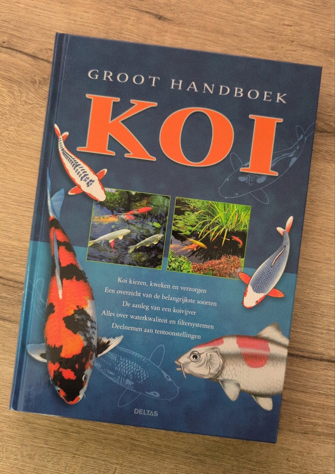 Groot Handboek Koi - Alles over Koi vissen, Ophalen of Verzenden, Nieuw, Vissen, Onbekend