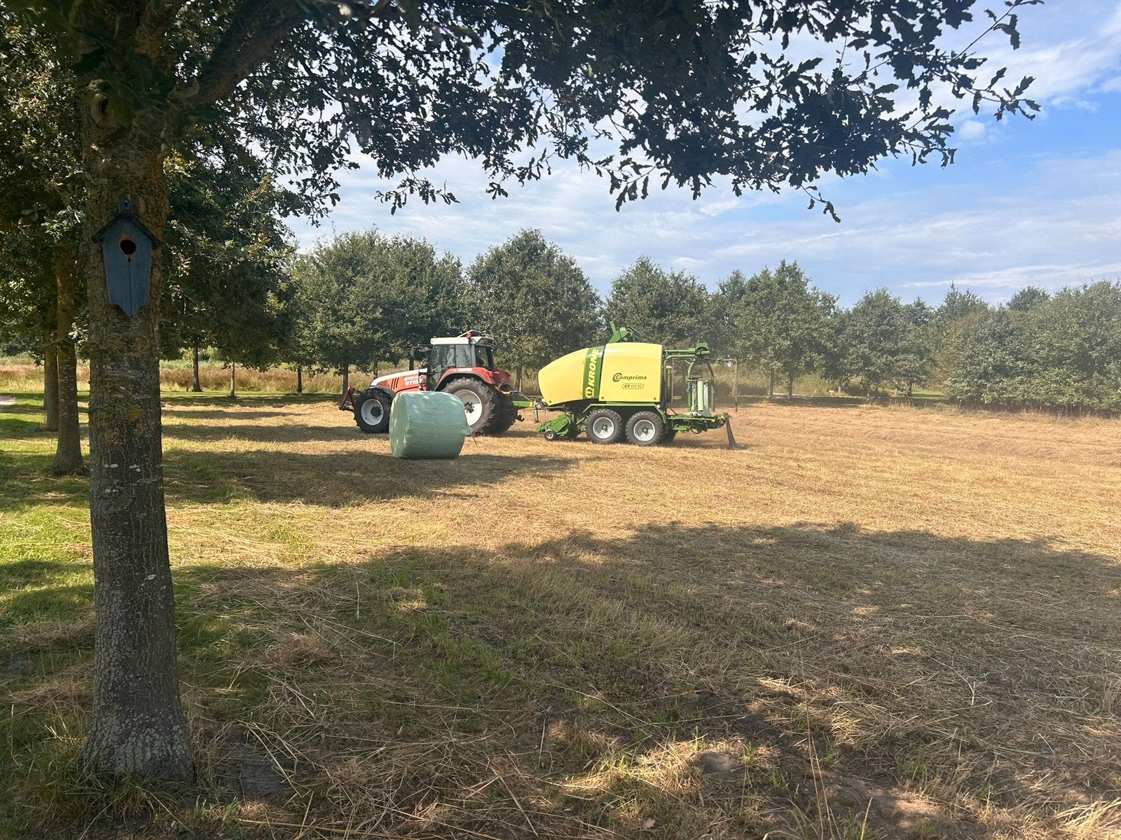 Natuurhooi 8 Balen in plastic.  22 aug gemaaid eerste snede, Dieren en Toebehoren, Ophalen, Vee