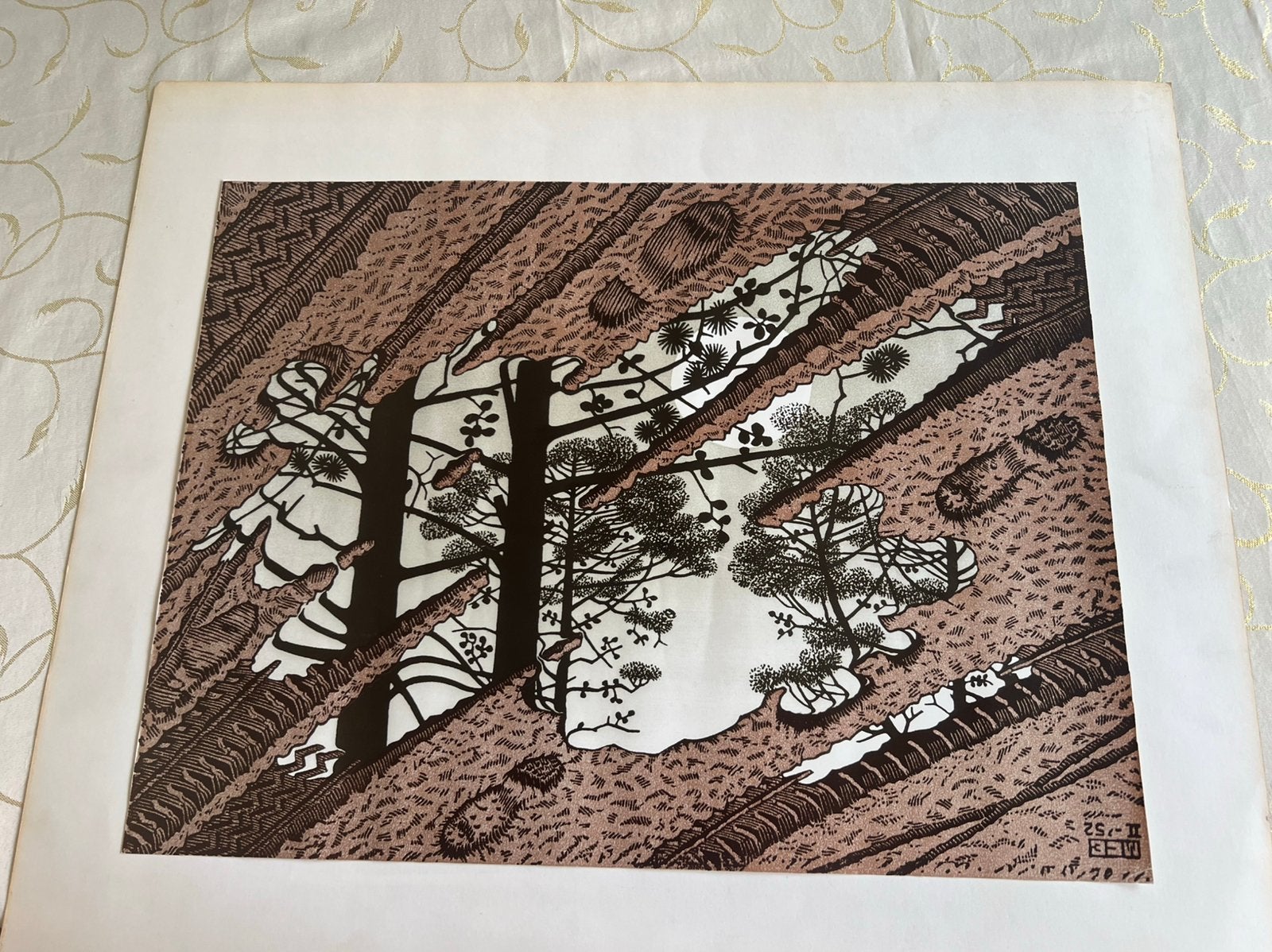 M.C. Escher prachtige print, Ophalen