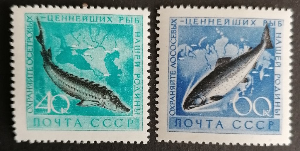 RUSLAND - vissen 1959 (postfris met plakker), Verzenden