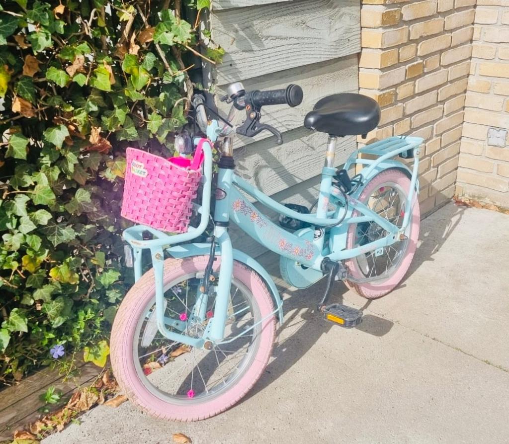 Popal Lola meisjes fiets 16 inch mint roze, Fietsen en Brommers, Fietsen | Meisjes, Ophalen, Gebruikt, Handrem, Popal