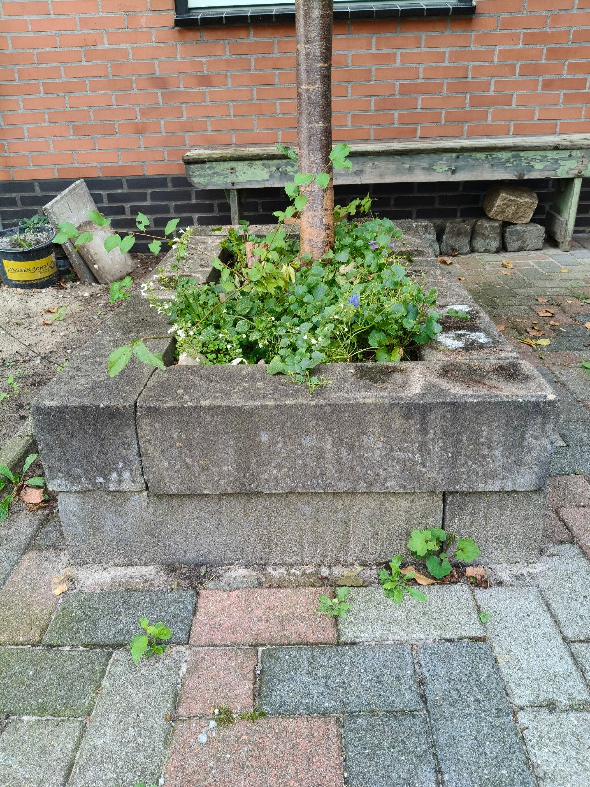 Stapelblokken beton. Gratis, Ophalen, Gebruikt, Minder dan 30 cm, Minder dan 60 cm