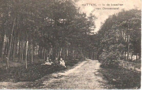 Hattem Ansichtkaart, Ophalen of Verzenden, 1920 tot 1940, Gelopen, Overijssel