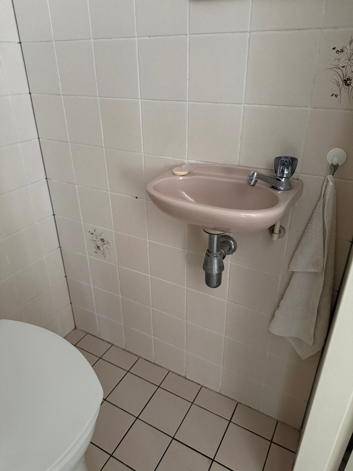 Toilet renovatie, Ophalen, Toilet
