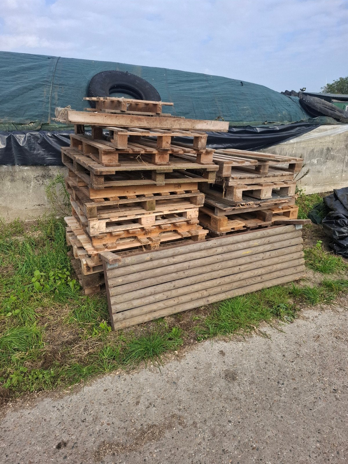 gratis pallets voor brandhout, Ophalen, Overige houtsoorten, Minder dan 200 cm, Pallet