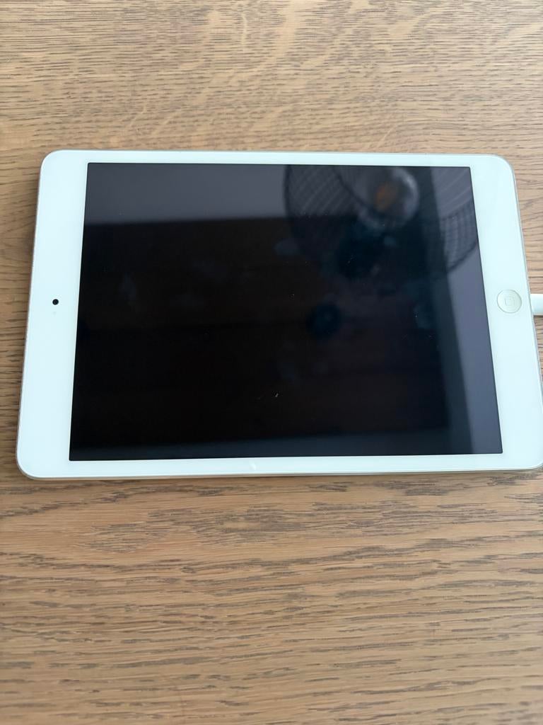 iPad Mini 2 32 GB - Kan niet meer updaten, Computers en Software, Apple iPads, Gebruikt, Apple iPad Mini, Wi-Fi, 32 GB, Grijs