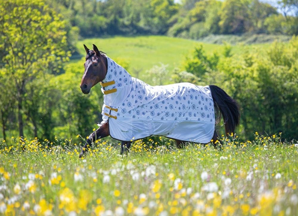 Vliegendeken Shires Tempest Dandelion, UK, Wit, Vliegendeken, UK
