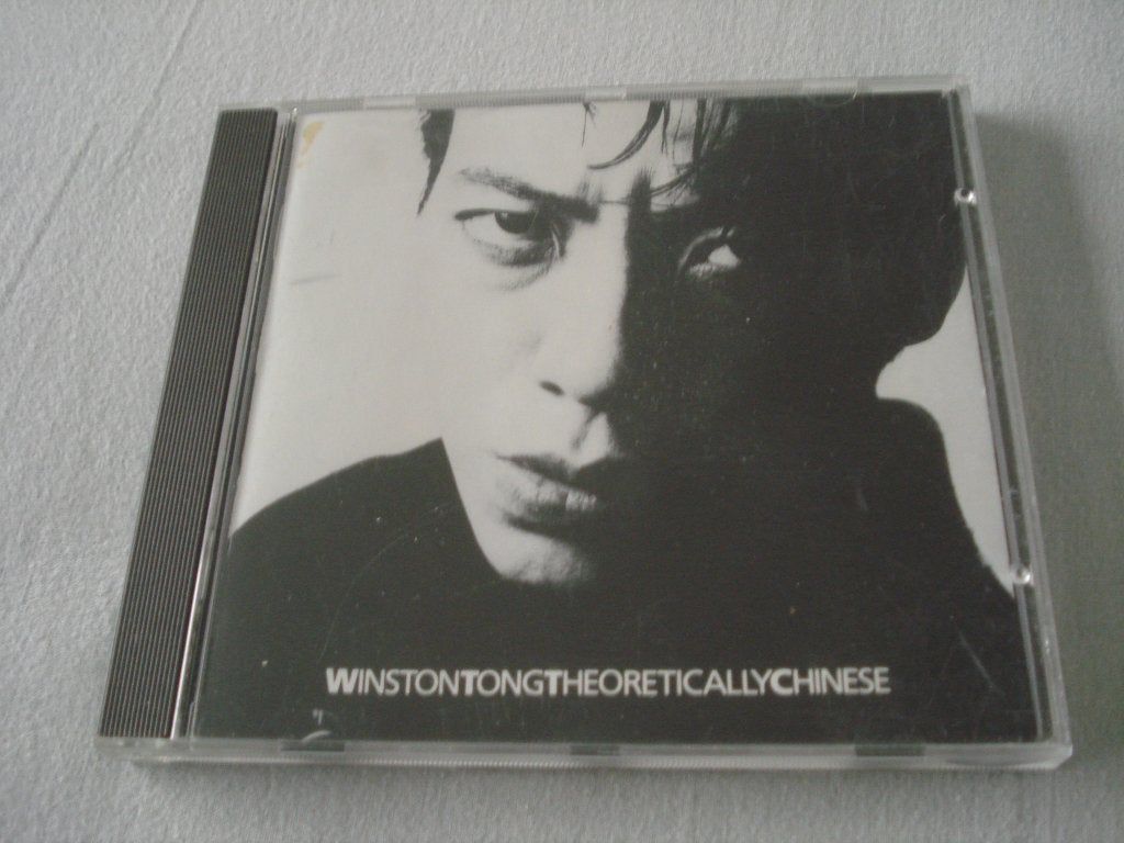 WINSTON TONG - THEORETICALLY CHINESE experiment ,synthpop, Ophalen of Verzenden, Zo goed als nieuw, Synthpop, Album