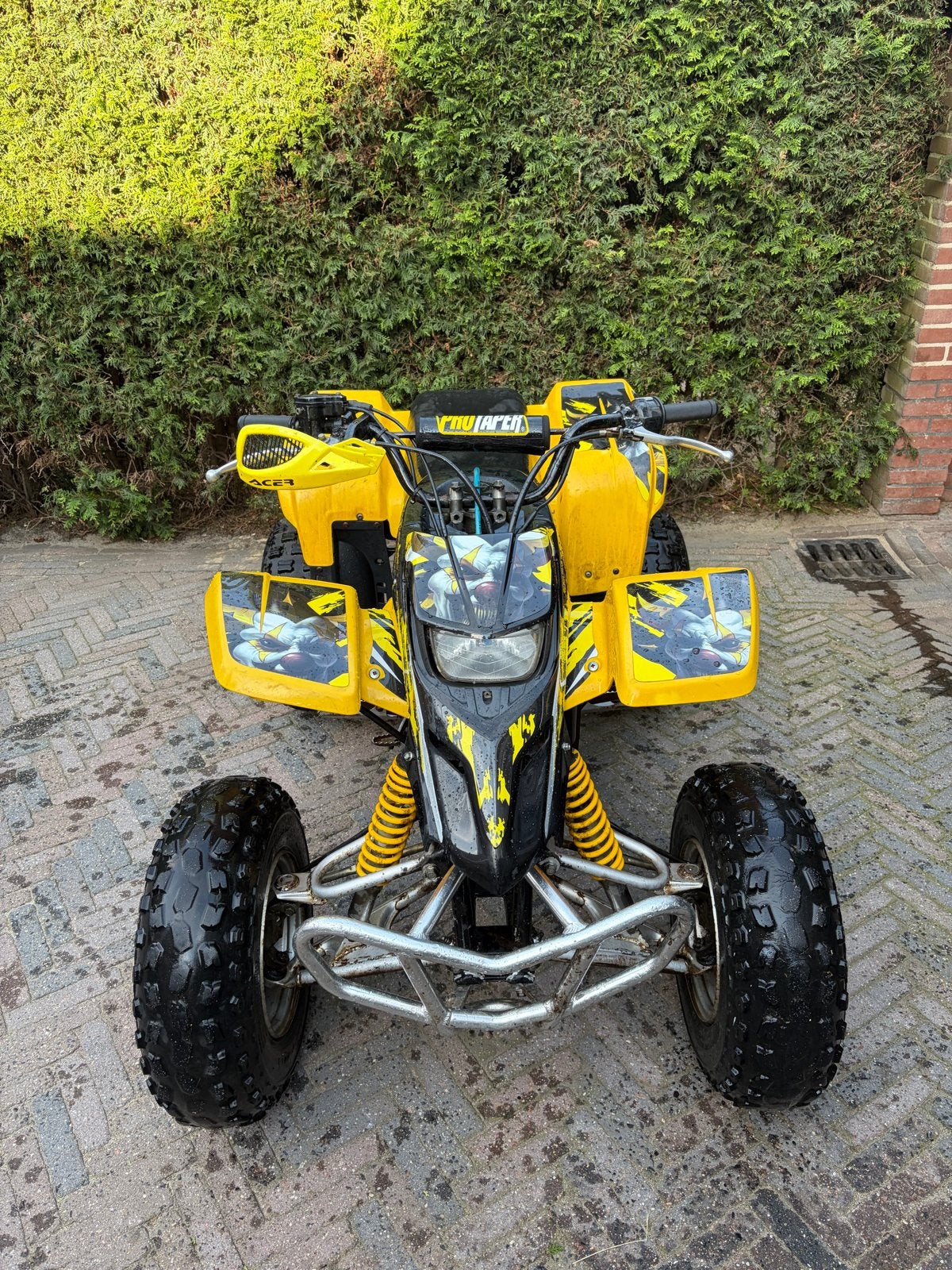Yamaha Blaster Quad - Nieuwe cilinder, zuiger, luchtfilter, 1 cilinder, 12 t/m 35 kW
