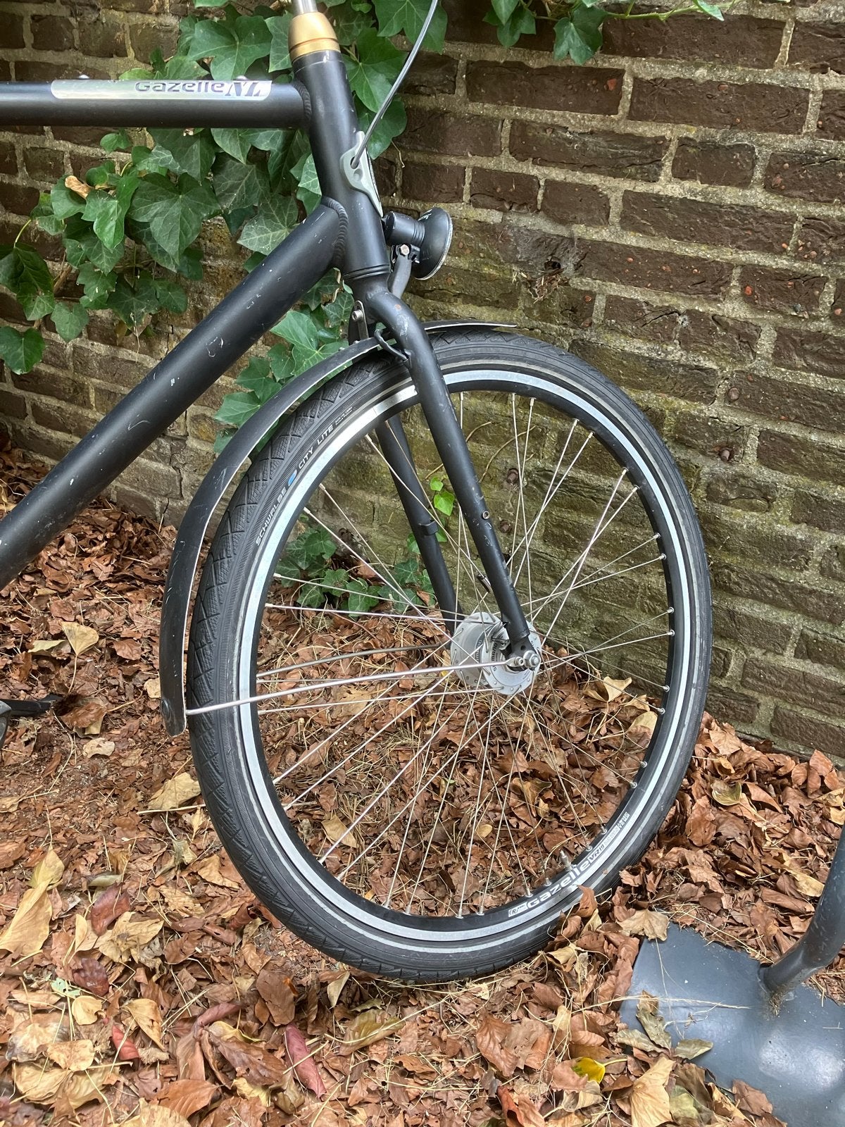 Gazelle NL HeavyDuty Transportfiets H59 met AXA slot, Fietsen en Brommers, Fietsen | Heren | Herenfietsen, Terugtraprem, Gebruikt