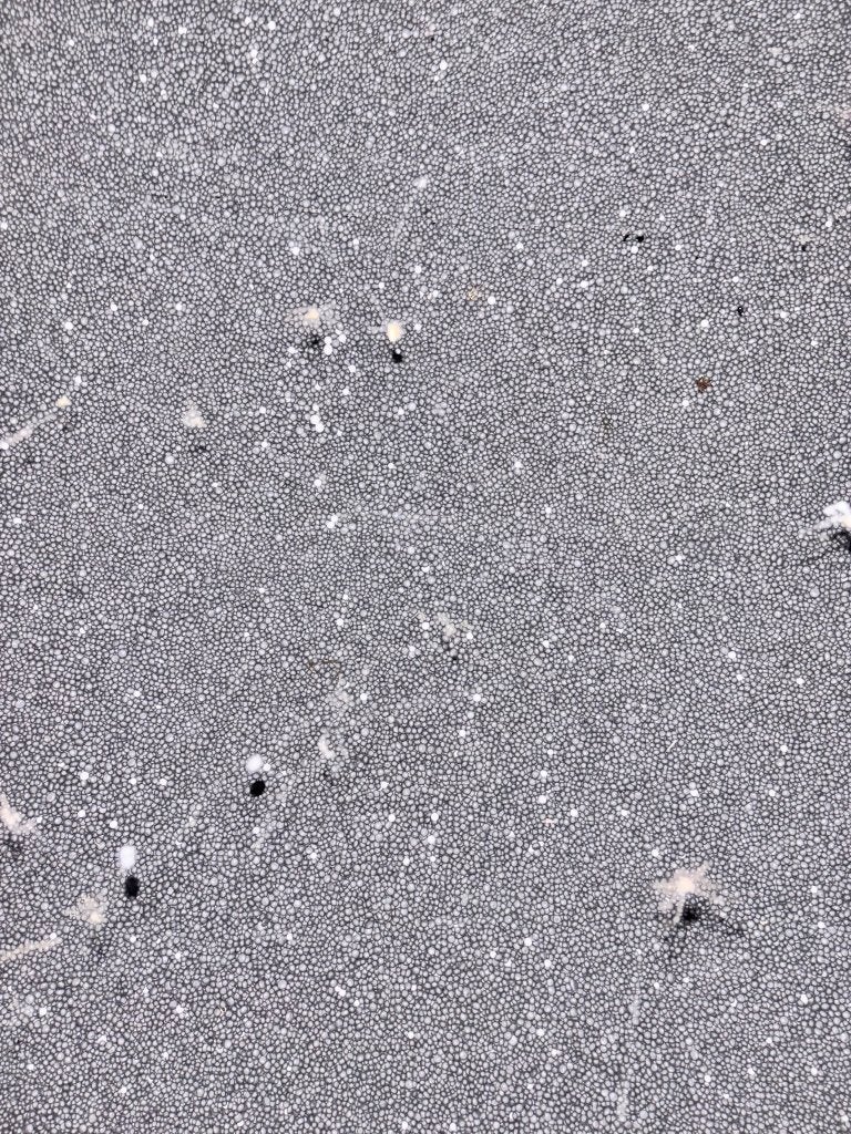 150+ m³ HR++ EPS korrels | HR++ EPS parels t.b.v kruipruimte, Ophalen, 4 tot 8 cm, Gebruikt, 15 m² of meer