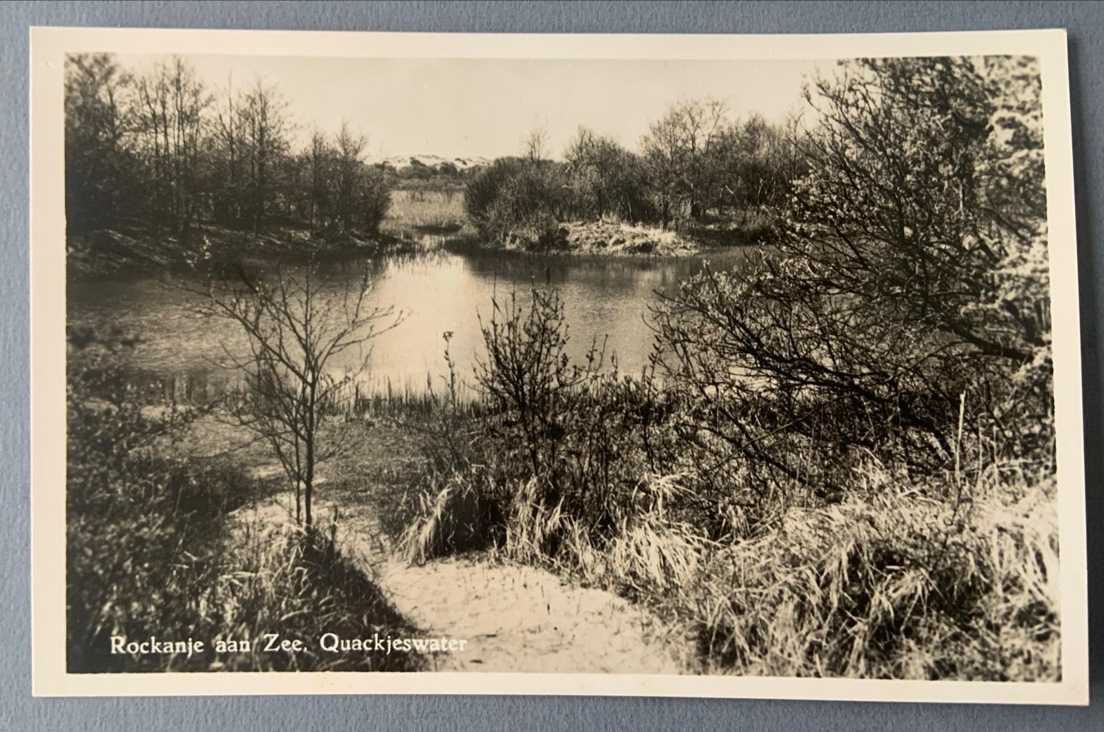 Rockanje aan Zee, Quackjeswater, Verzenden, 1920 tot 1940, Ongelopen, Zuid-Holland