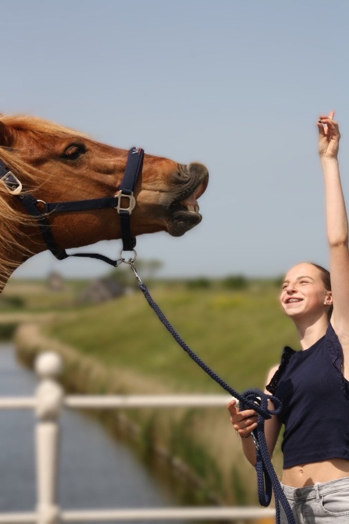 Verzorgponys gezocht / bijrijders aangeboden, Dieren en Toebehoren, Ophalen of Verzenden