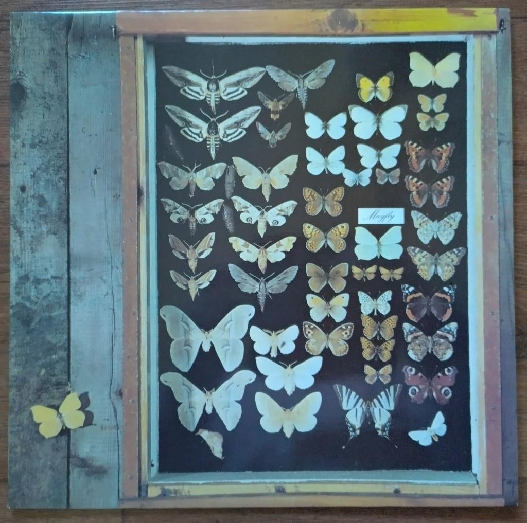 LP Mayfly - Mayfly 1973 Ariola 86952 IT Folk Rock Nederbeat, Ophalen of Verzenden, Zo goed als nieuw, 12 inch, Originele persing