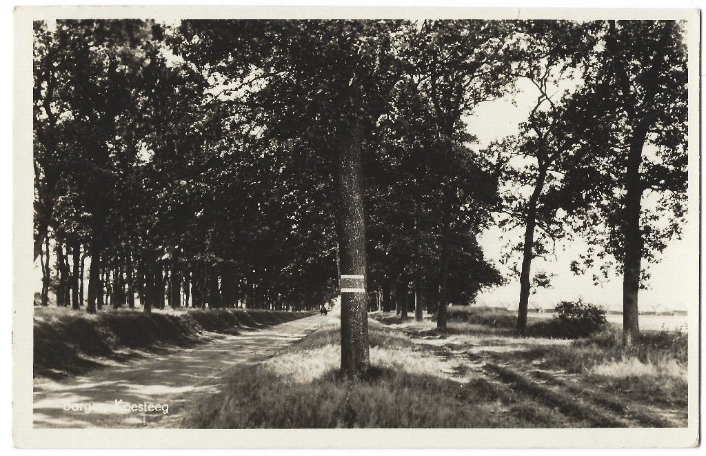 Borger, Koesteeg, Ophalen of Verzenden, 1940 tot 1960, Ongelopen, Drenthe