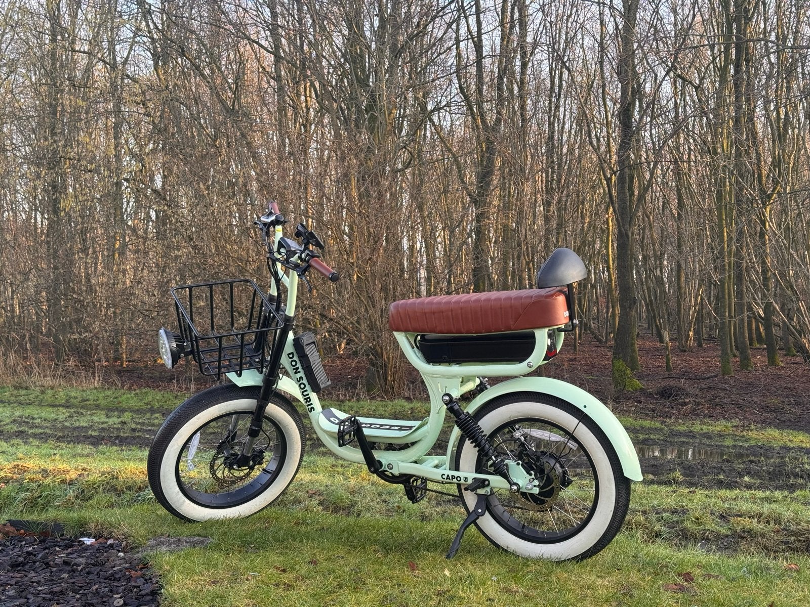Don Souris mintgroene fatbike limited edition, Fietsen en Brommers, Elektrische fietsen, 59 cm of meer, Ophalen, Zo goed als nieuw